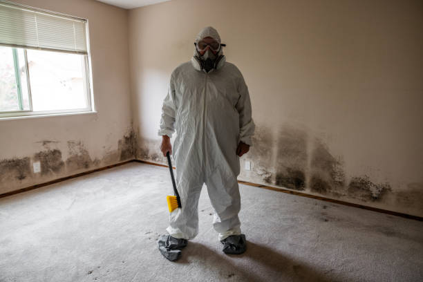 Best Bathroom Mold Remediation in Hondo, TX